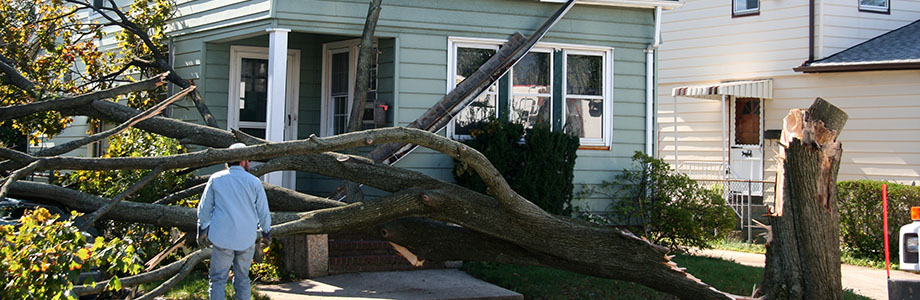 Home Insurance &amp; Auto Insurance in Niceville, FL
